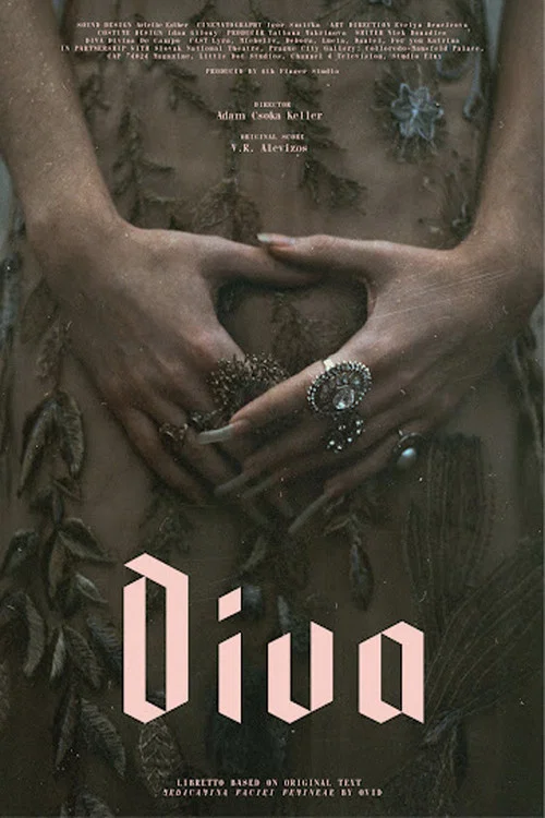 Diva постер