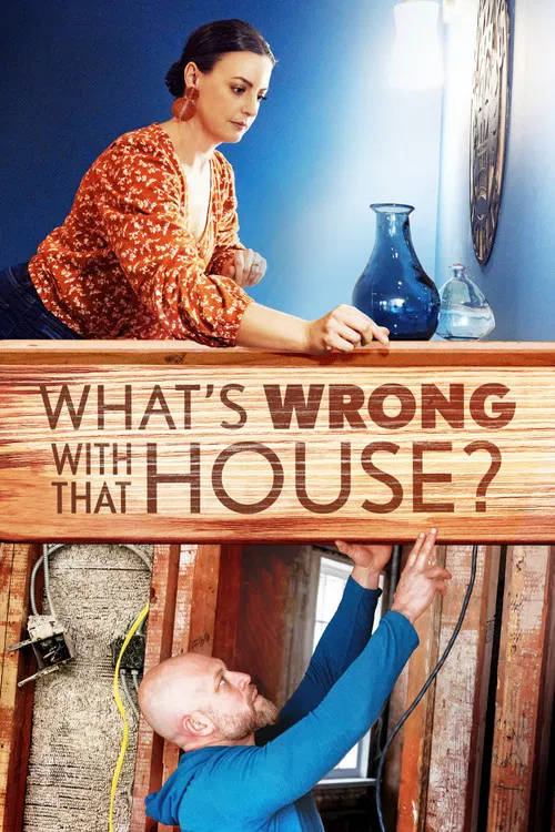 What's Wrong with That House? постер