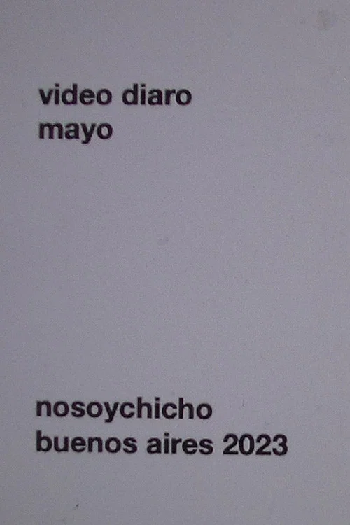 video diario постер