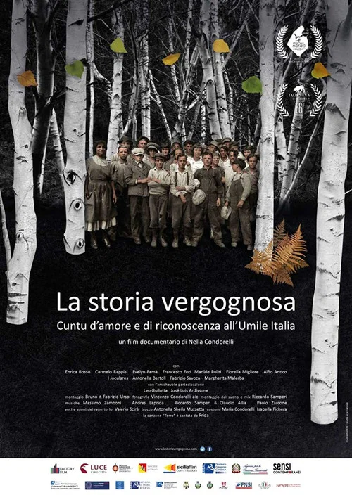 La storia vergognosa постер