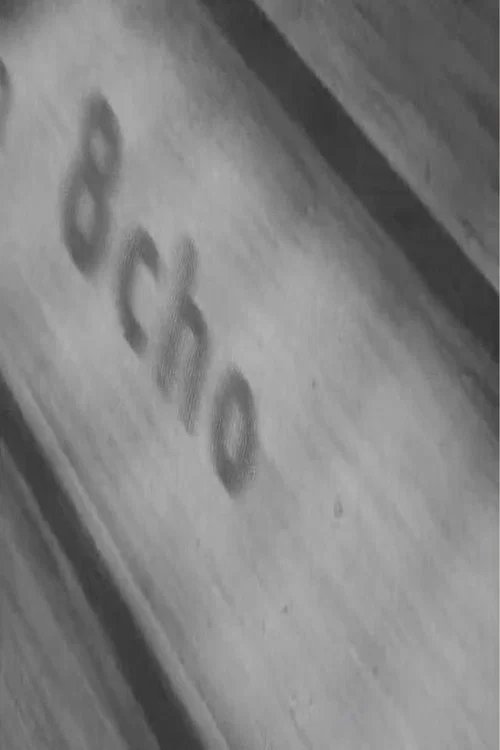 8cho постер