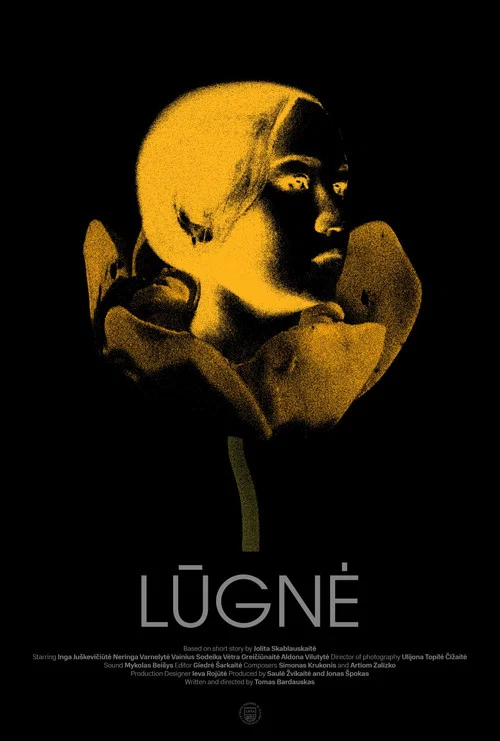 Lūgnė постер