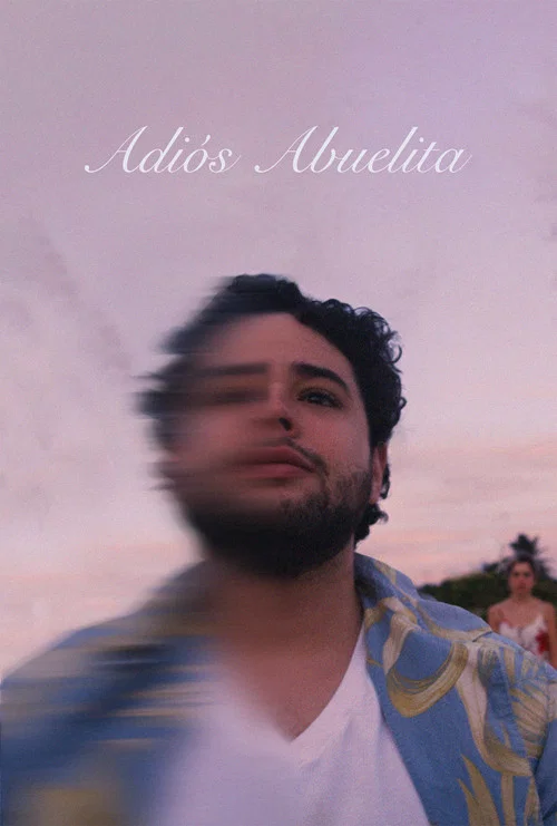Adiós Abuelita постер