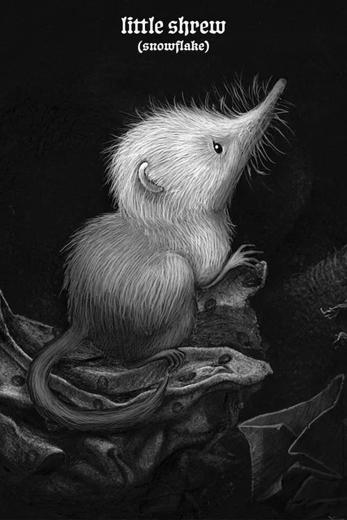 Little Shrew (Snowflake) постер