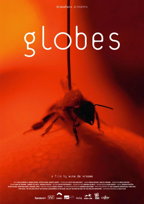 Globes постер