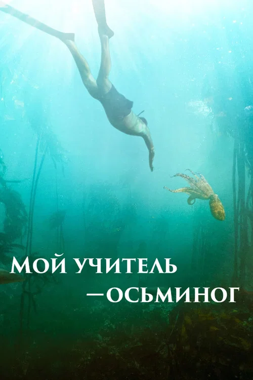 Мой учитель – осьминог постер