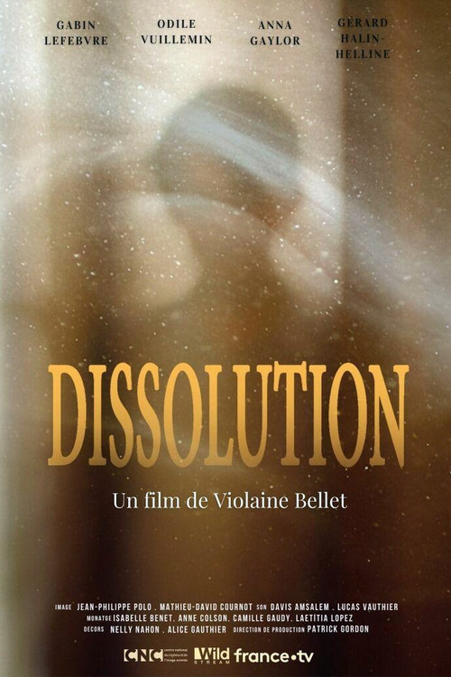 Dissolution постер