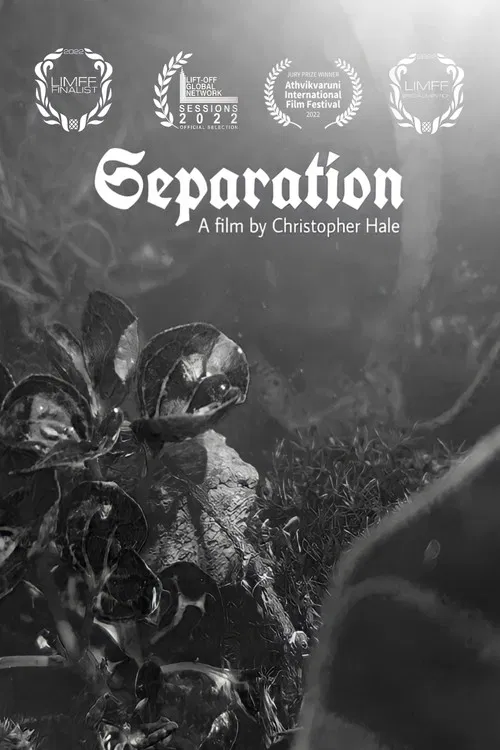Separation постер