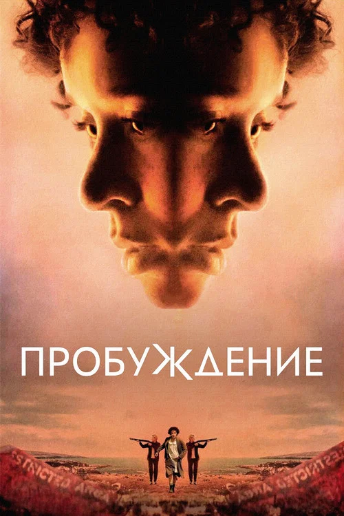 Пробуждение постер