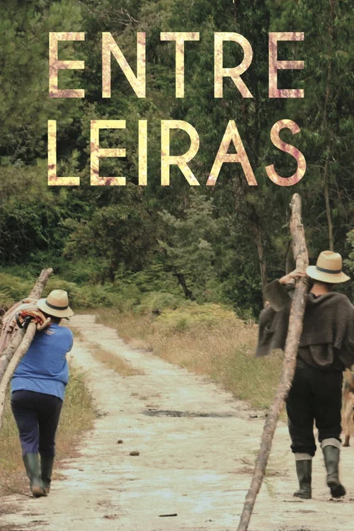 Entre Leiras постер