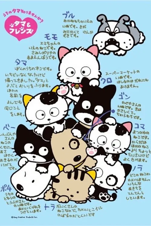 3丁目のタマ うちのタマ知りませんか？ постер