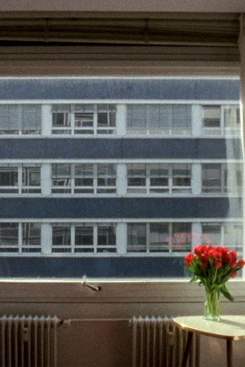 21,3 °C постер