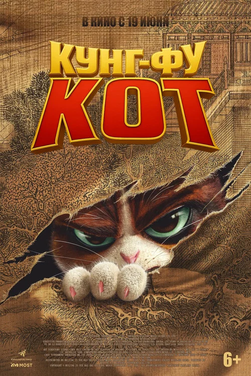 Кунг-фу кот постер
