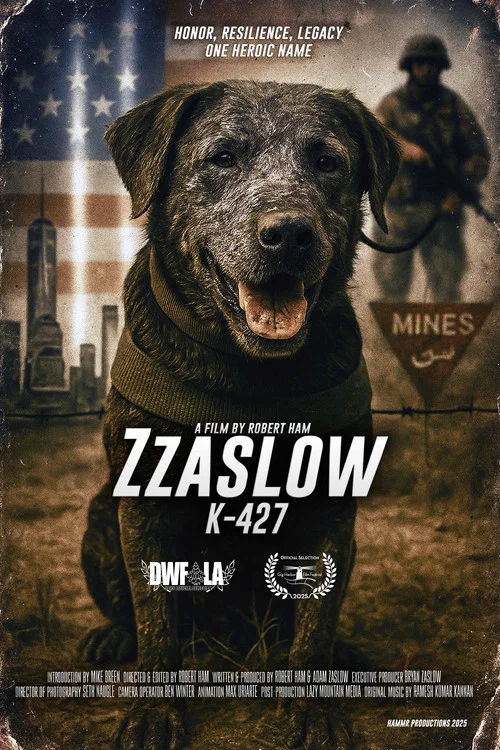 Zzaslow K-427 постер