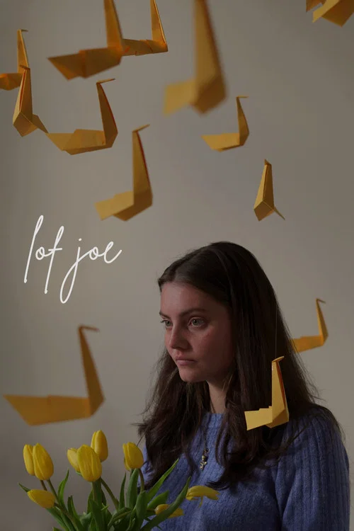 Lof Joe постер