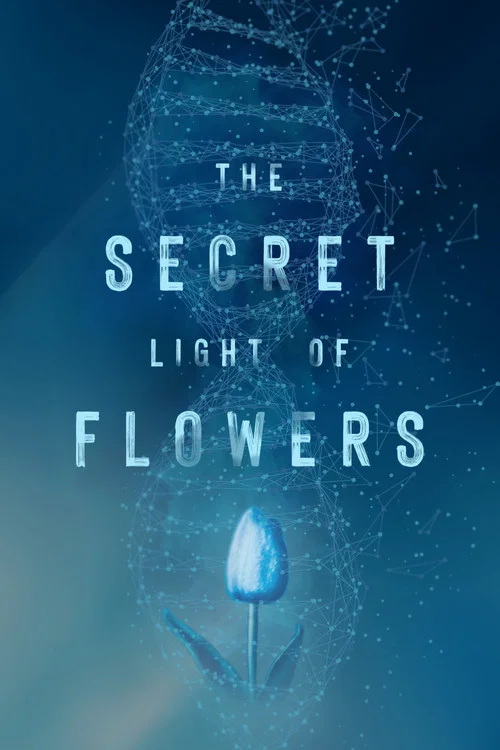 The Secret Light of Flowers постер