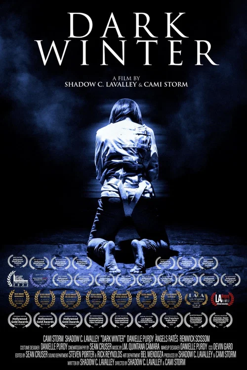 Dark Winter постер