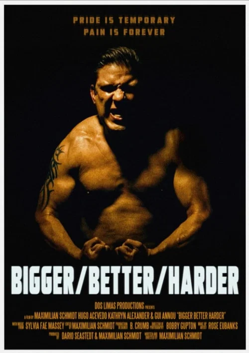 Bigger/Better/Harder постер