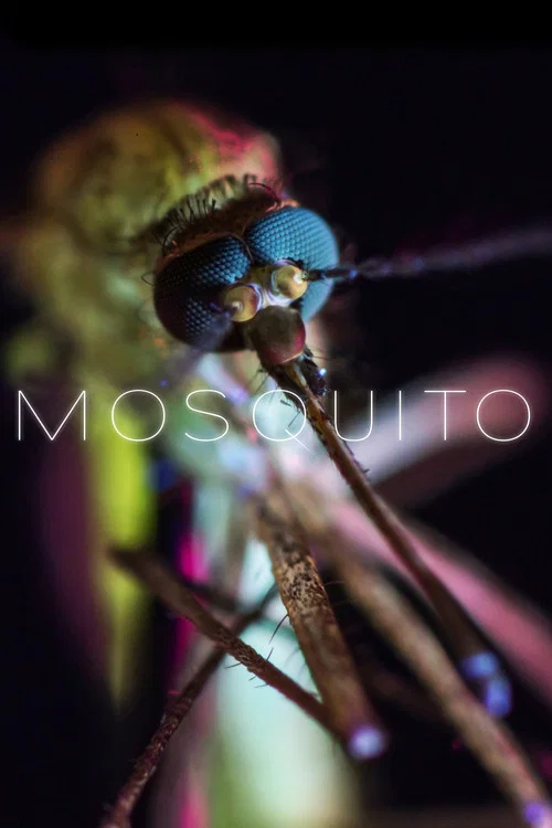 Mosquito постер