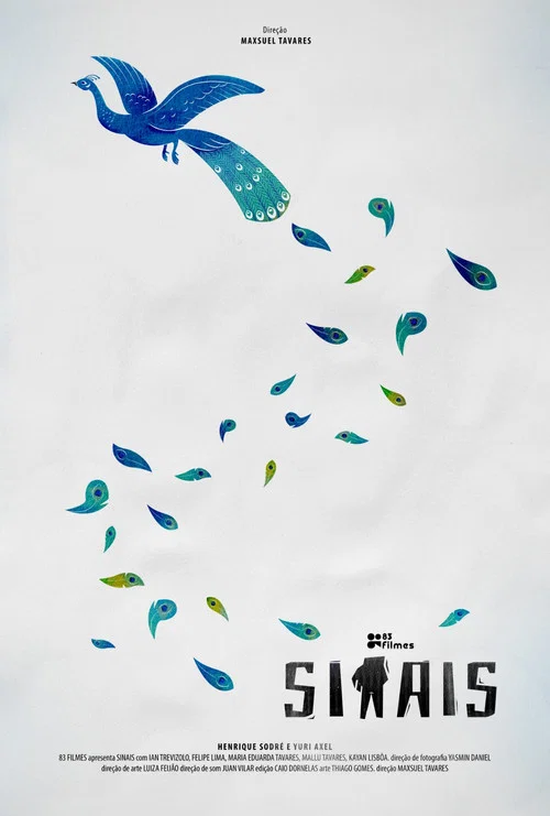 Sinais постер