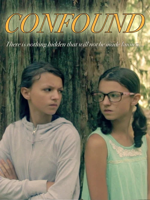 Confound постер