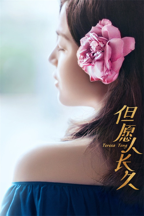 但愿人长久 постер
