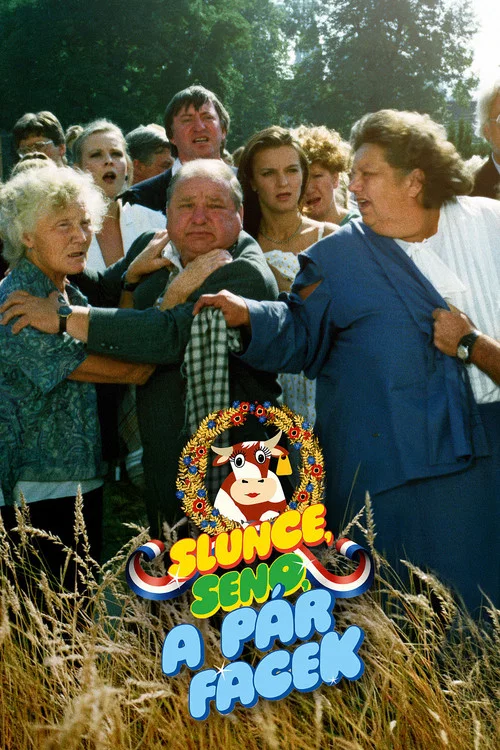 Солнце, сено и пара оплеух постер
