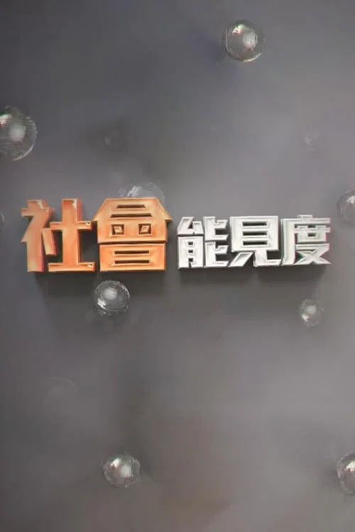 社会能见度 постер