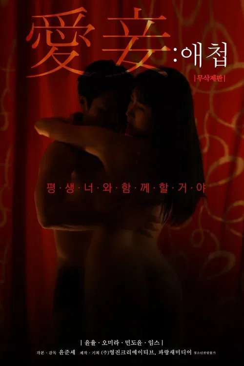 애첩 постер