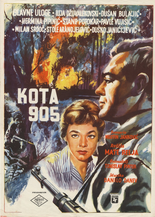 Kota 905 постер
