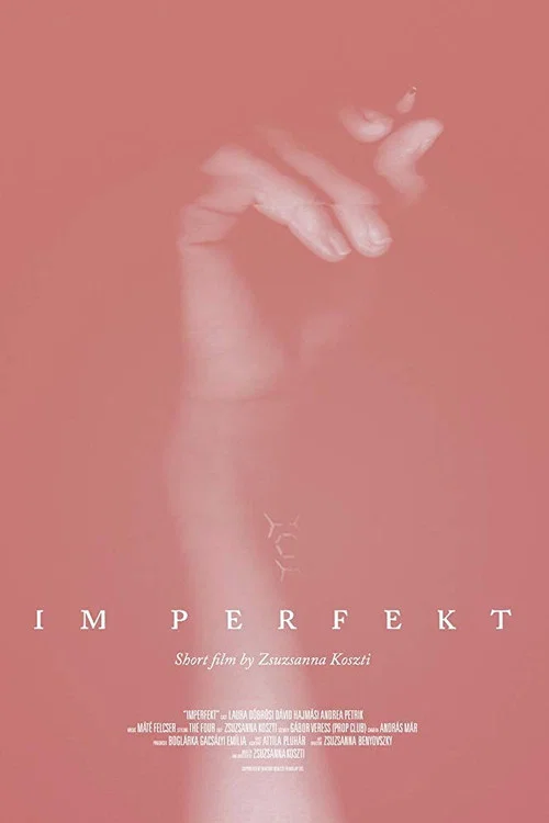 IM Perfekt постер