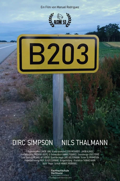 B203 постер