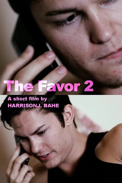 The Favor 2 постер