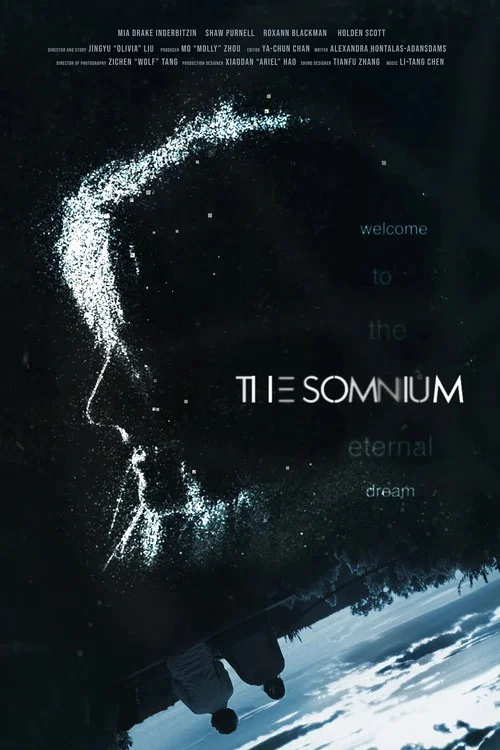 The Somnium постер