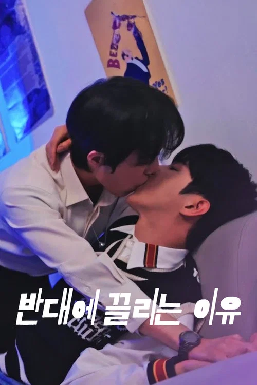 반대에 끌리는 이유 постер