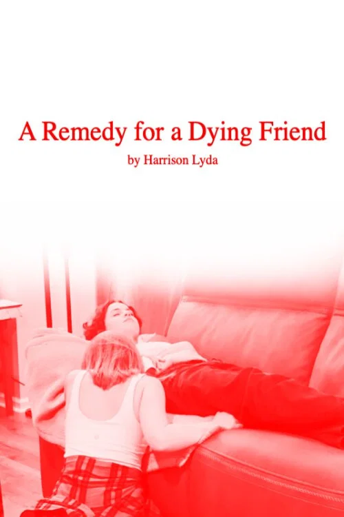 A Remedy for a Dying Friend постер