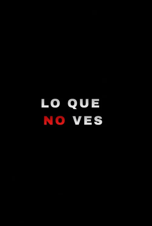 LO QUE NO VES постер