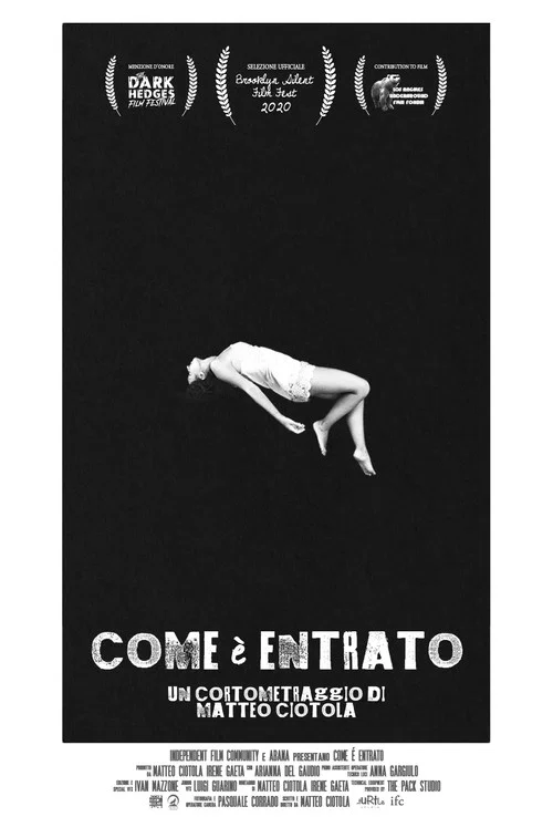 Come è entrato постер