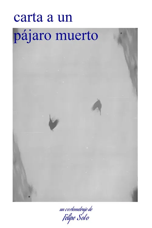 carta a un pájaro muerto постер