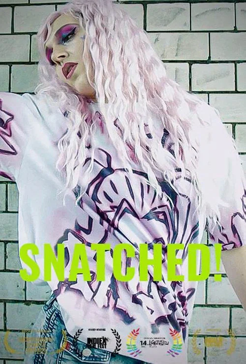 Snatched! постер