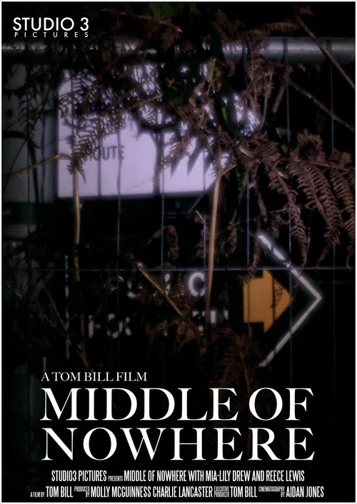 Middle of Nowhere постер