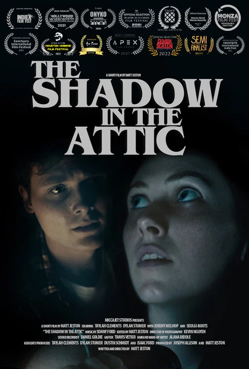 The Shadow in the Attic постер