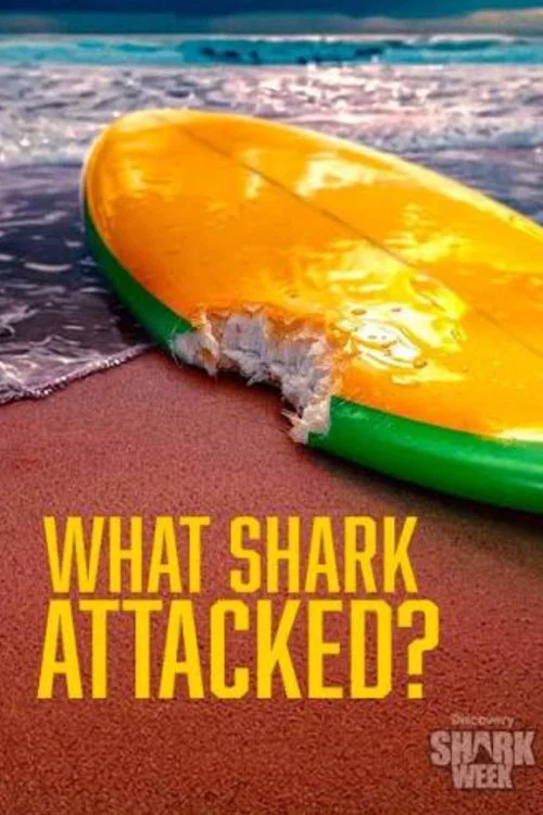 What Shark Attacked? постер