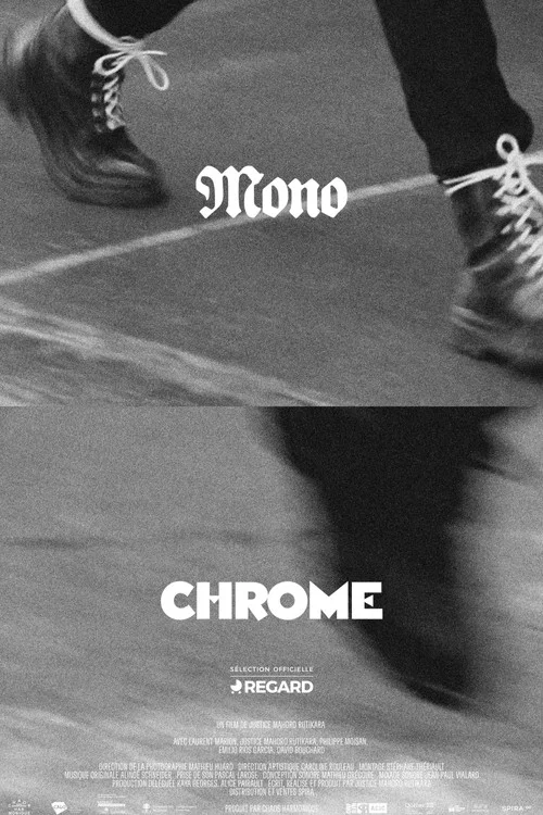 Monochrome постер