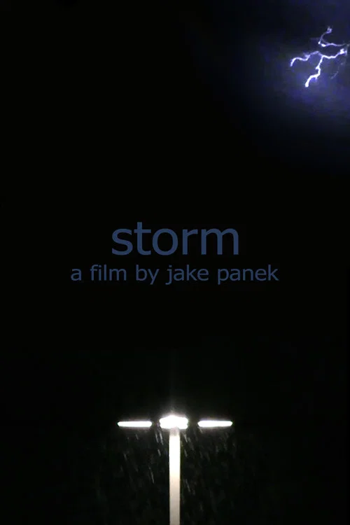 storm постер