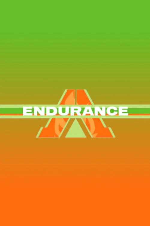 Endurance постер