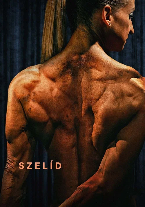 Szelíd постер