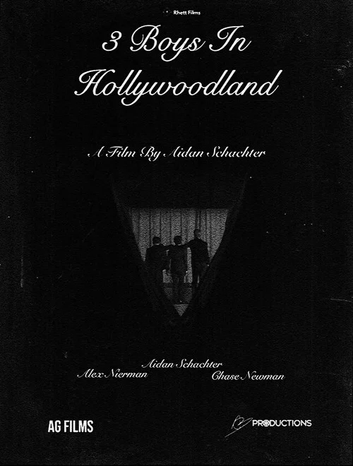 3 Boys In Hollywoodland постер