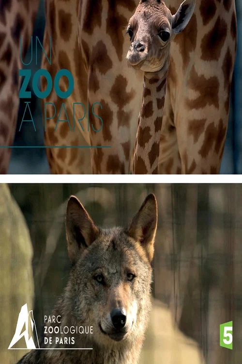 Un zoo à Paris постер