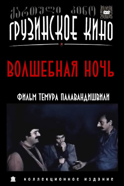 Волшебная ночь постер